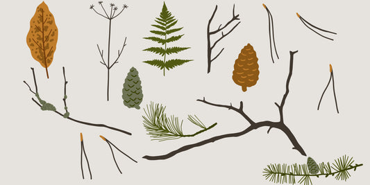 The Best Sustainable and Eco-Friendly Home Decor Items