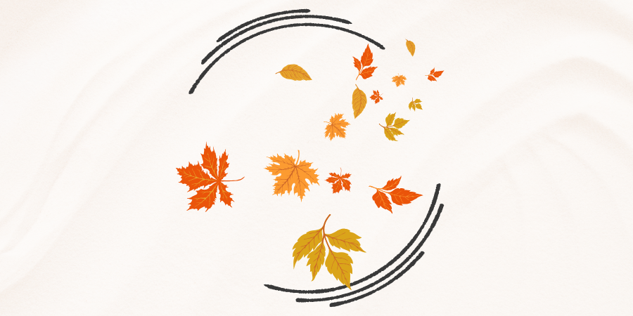 Personal Care Tips for Autumn in Sweden | Skincare & Haircare by SVADiA