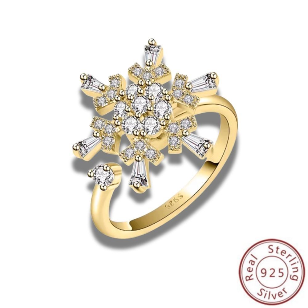 Zodiac Spin 925 Silver Ring