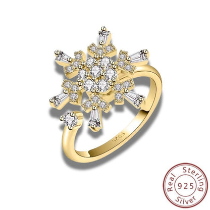 Zodiac Spin 925 Silver Ring